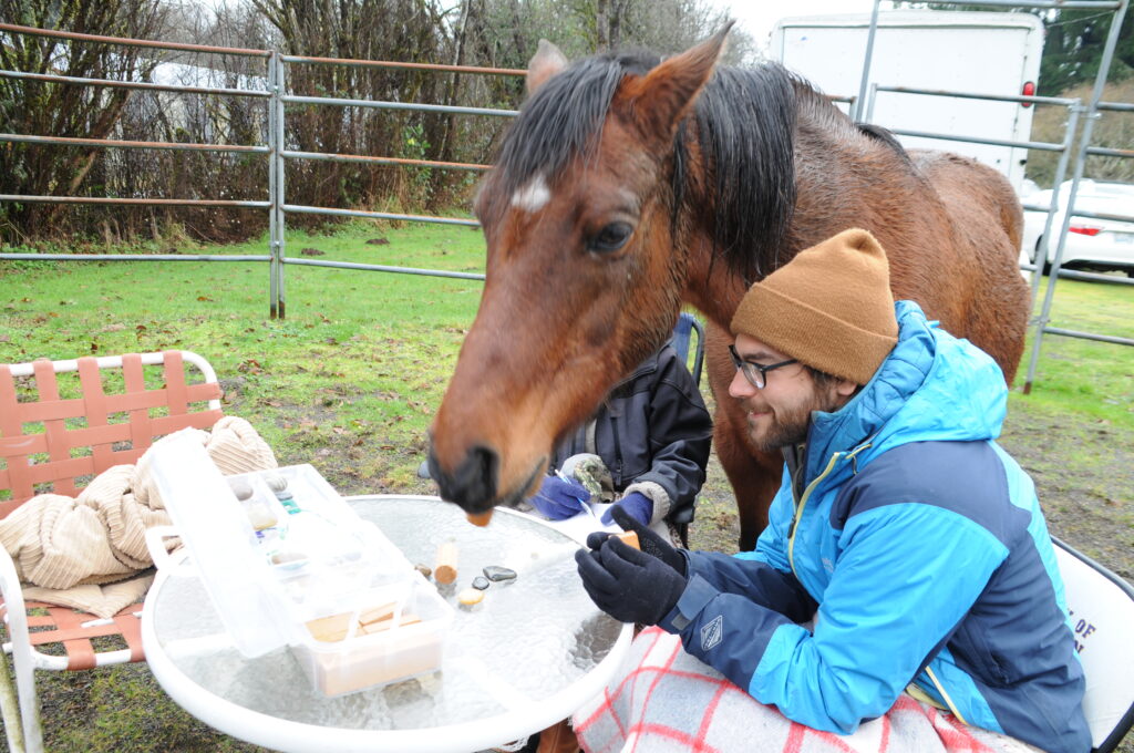 A bold sign reads 'HORSES NEVER HURT HUMANITY.'
