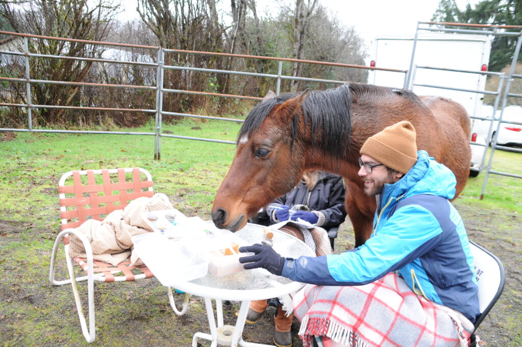 A bold sign reads 'HORSES NEVER HURT HUMANITY.'