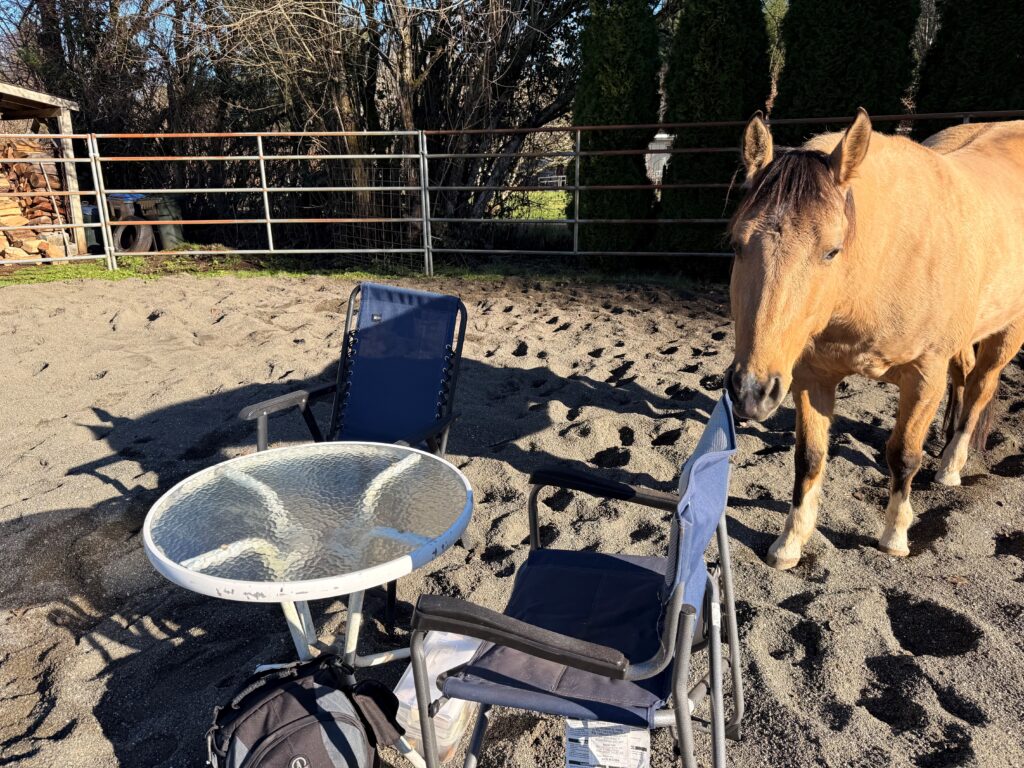 A bold sign reads 'HORSES NEVER HURT HUMANITY.'