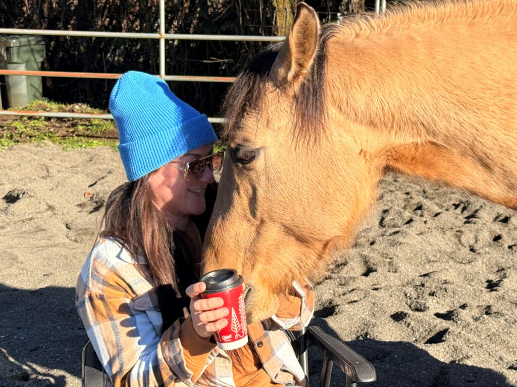 A  (Read More...)
</p srcset=