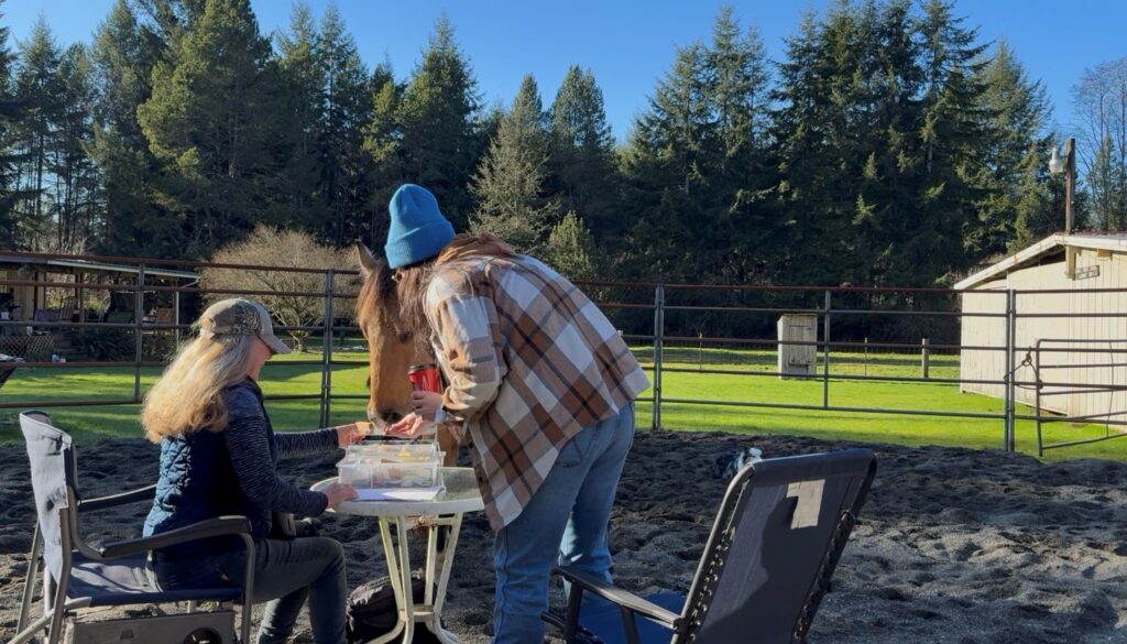 People enjoying a casual outdoor meal on a sunny day with trees in the background.