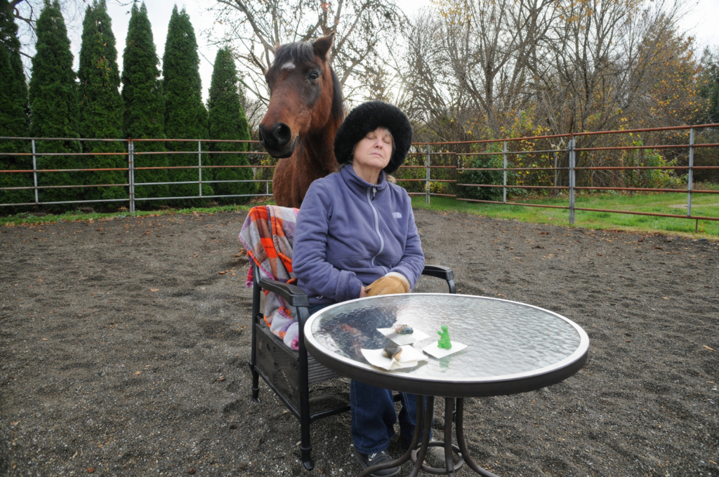 Person sitting by table with horse nearby.